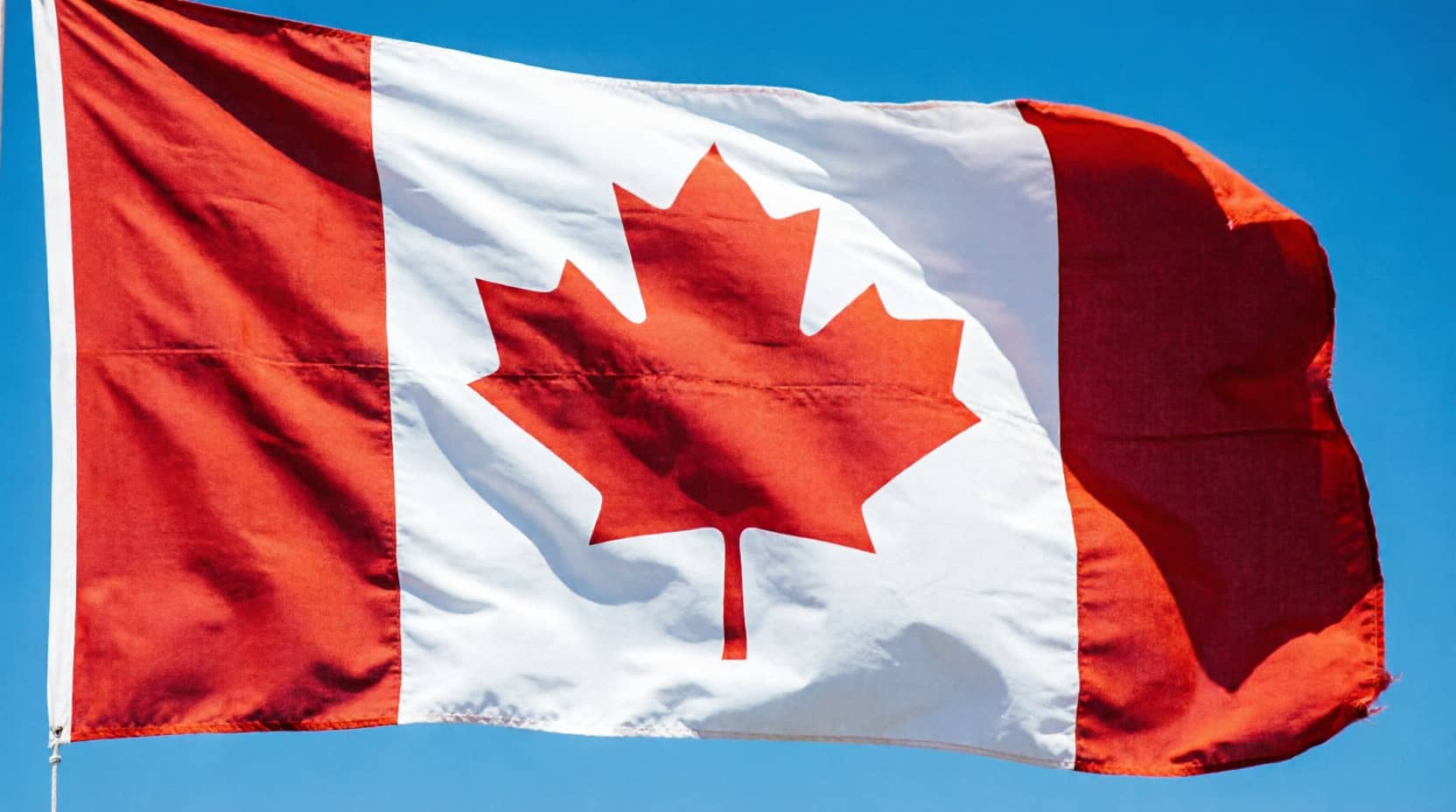 Imagen de Canadá impone aranceles hasta del 50% a productos estadounidenses