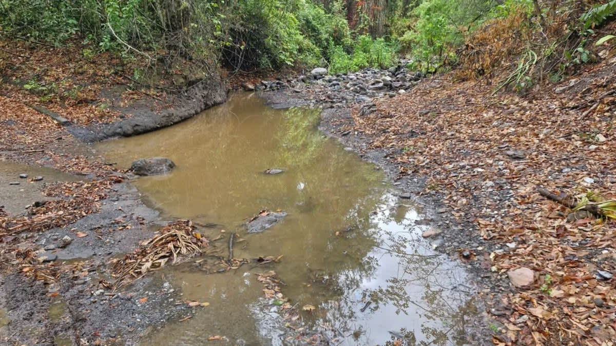 Imagen de CAR advierte riesgo de desabastecimiento hídrico en 22 municipios de Cundinamarca