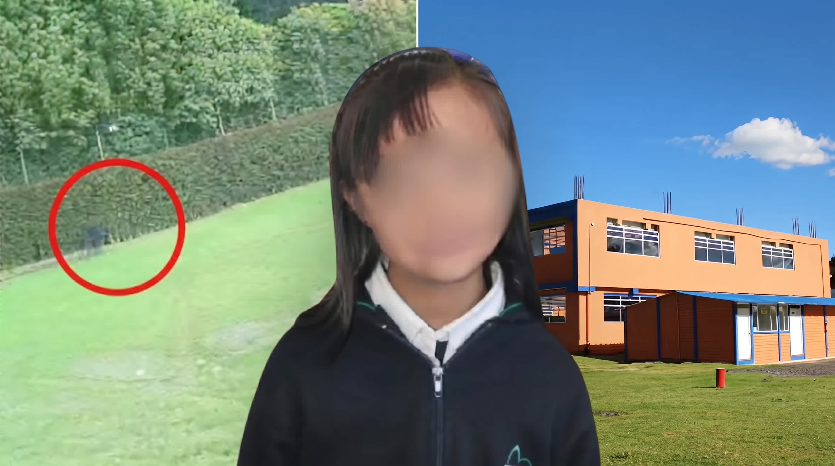 Imagen de Gobernación de Cundinamarca confirma cierre definitivo del colegio de Valeria Afanador en Cajicá