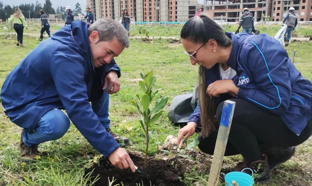 Imagen de Constructora Capital lidera la sostenibilidad social y ambiental en su operación