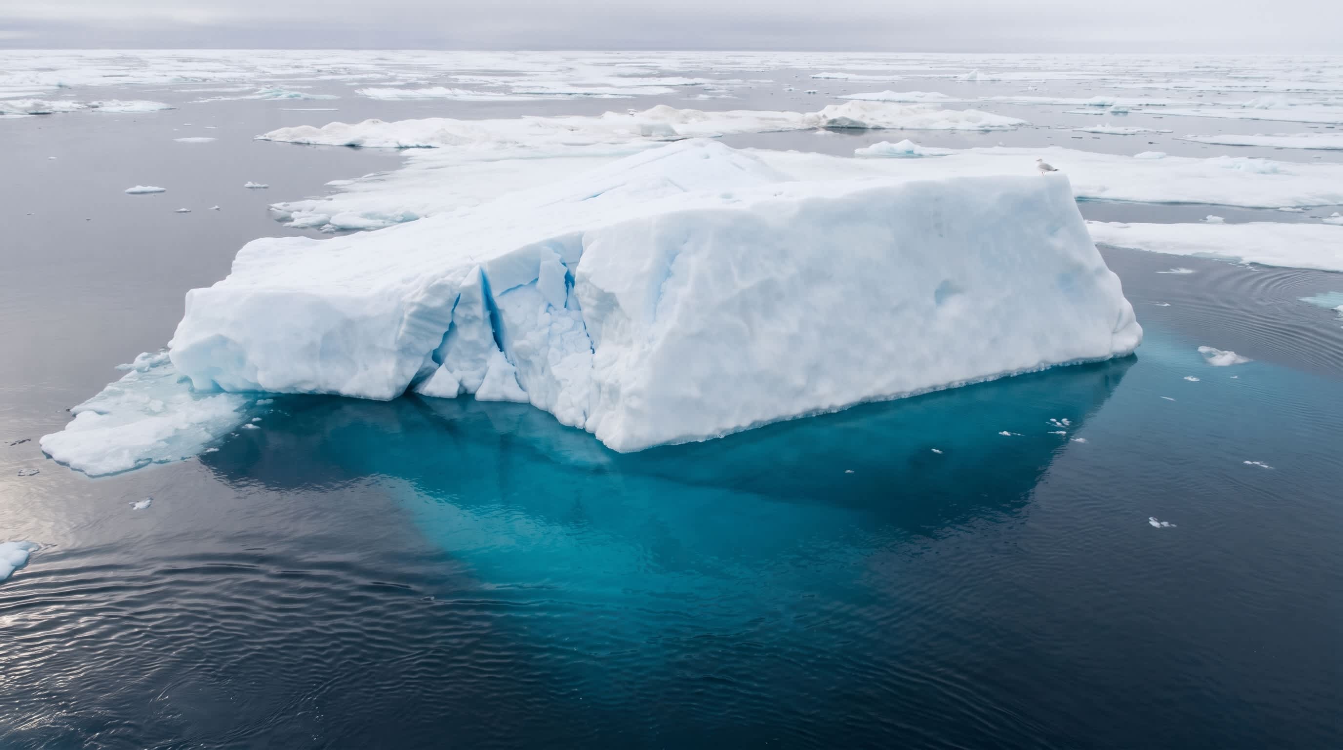 Imagen de El mundo perdió la carrera para evitar los 1,5 °C de calentamiento global: ¿qué sigue?
