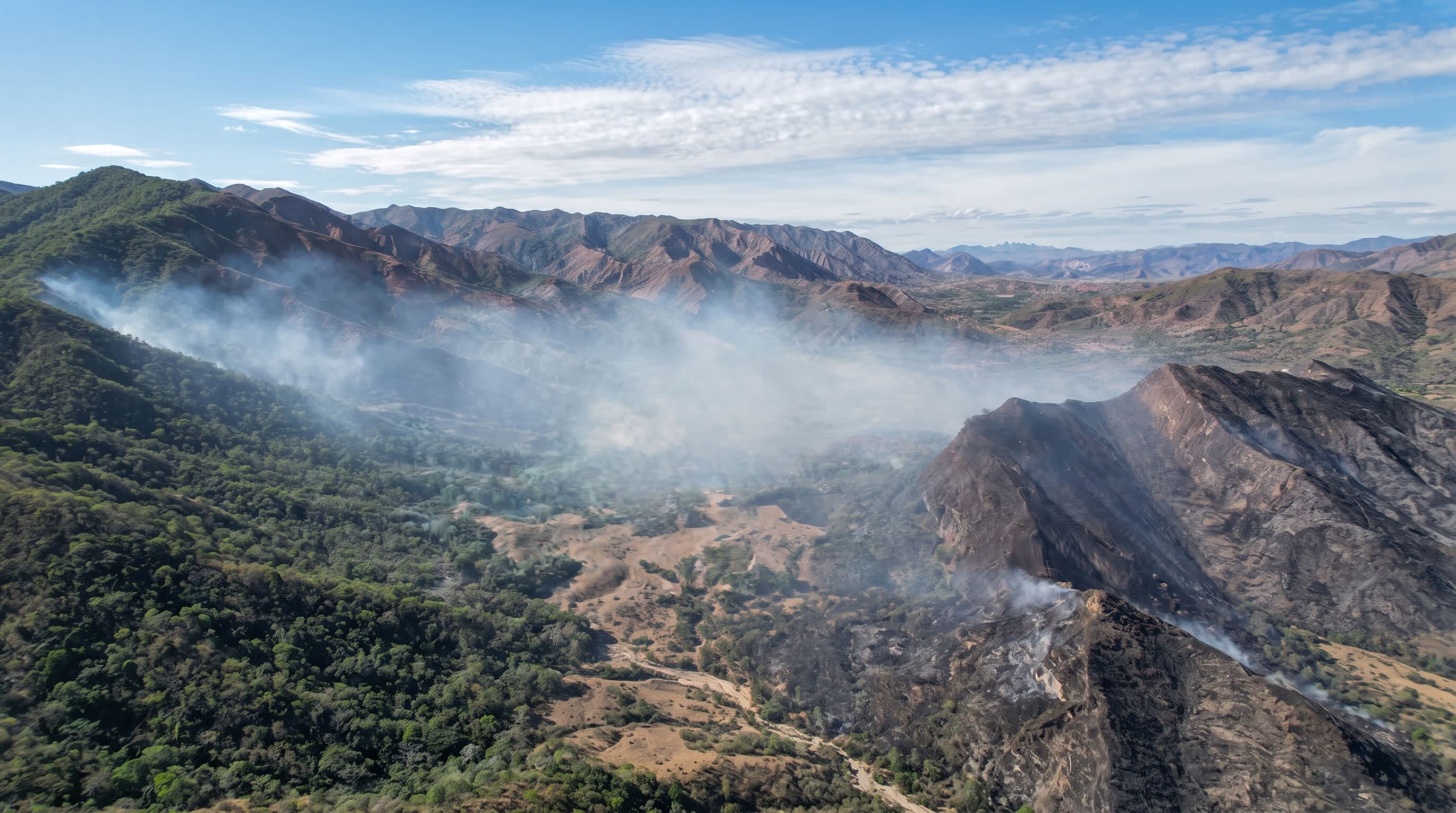 Imagen de En Tolima invertirán mil millones para apoyar a comerciantes afectados por incendios forestales