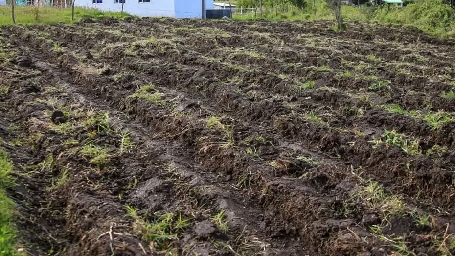 Imagen de Contraloría advierte riesgos para áreas de protección de alimentos en Colombia