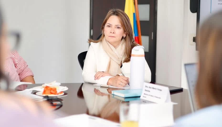 Imagen de Ministra de Salud explica de dónde saldrán los recursos para enfrentar la crisis del sector