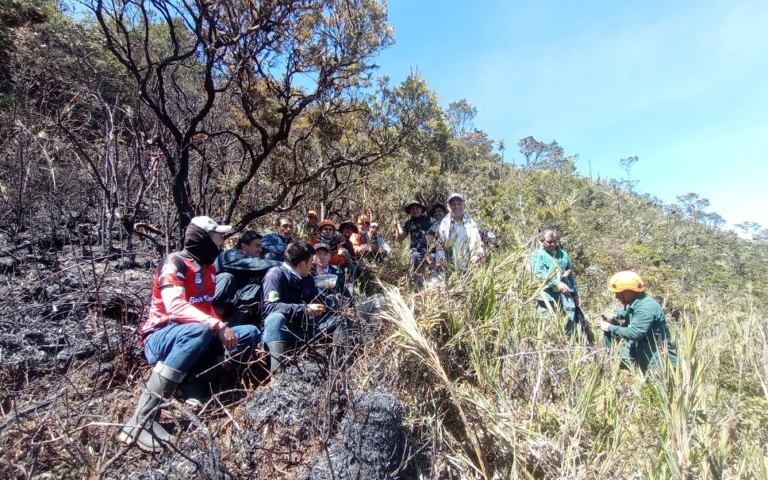 Balance registrado incendio parque nacional natural Chingaza