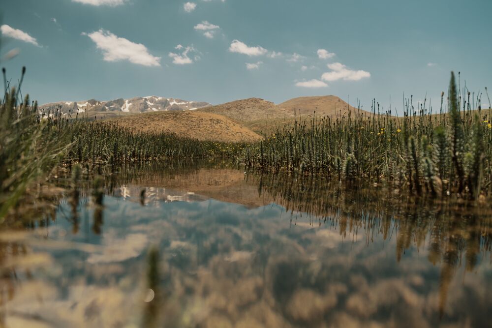 Fusagasug� se prepara para debatir el futuro ambiental del Sumapaz