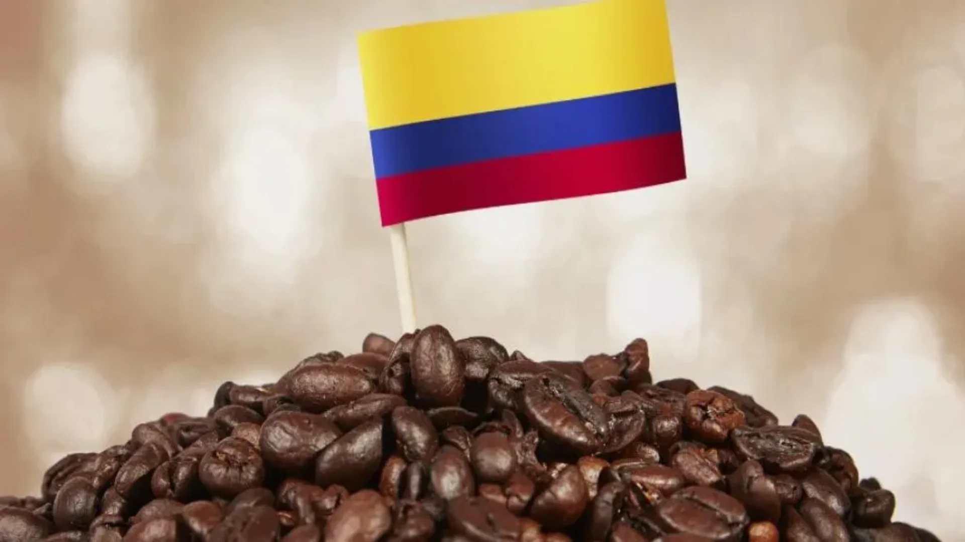 Producci�n de caf� en Colombia crece 19% en agosto de 2025