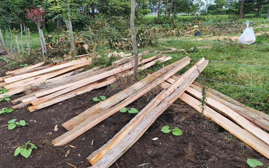 Operativos de la CAR decomisan madera ilegal en Cundinamarca y Boyac�