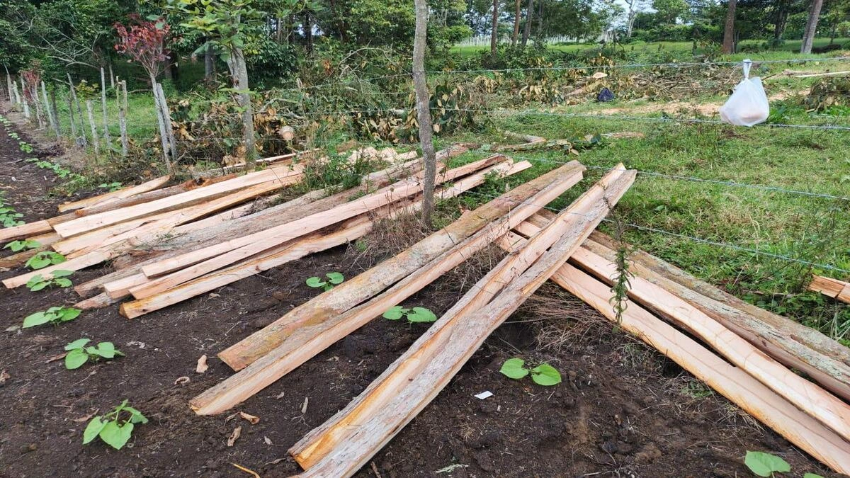 Operativos de la CAR decomisan madera ilegal en Cundinamarca y Boyac�