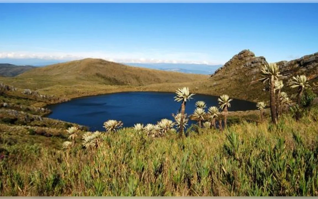 Acuerdos de conservaci�n: El frente com�n para salvaguardar las fuentes h�dricas de Cundinamarca