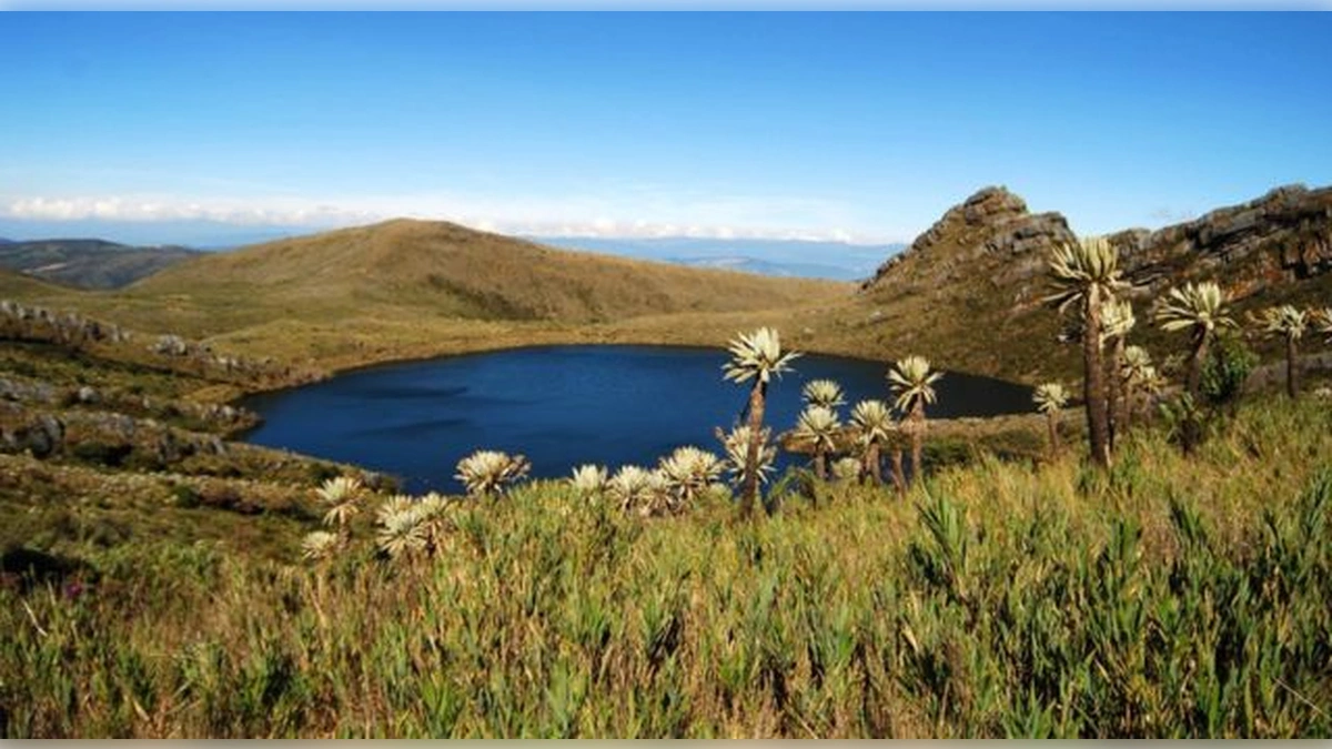 Acuerdos de conservaci�n: El frente com�n para salvaguardar las fuentes h�dricas de Cundinamarca