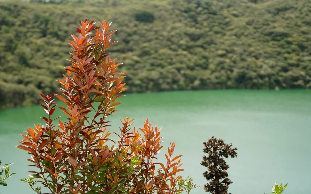 Guatavita: El ancestral legado de Cundinamarca que deslumbra con su cultura y paisaje