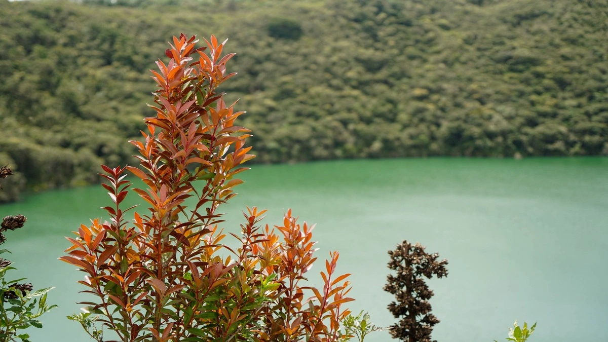 Guatavita: El ancestral legado de Cundinamarca que deslumbra con su cultura y paisaje