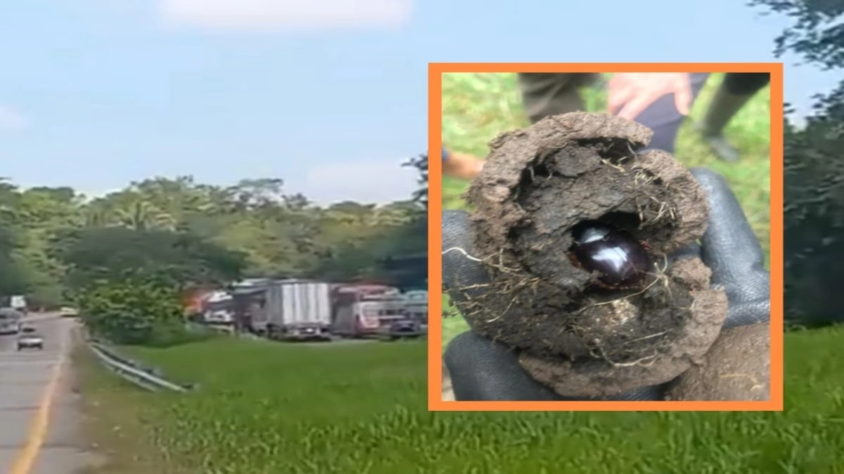 Cierre de la Ruta del Sol en Cesar por hallazgo de posible explosivo en pleno "paro armado" del ELN