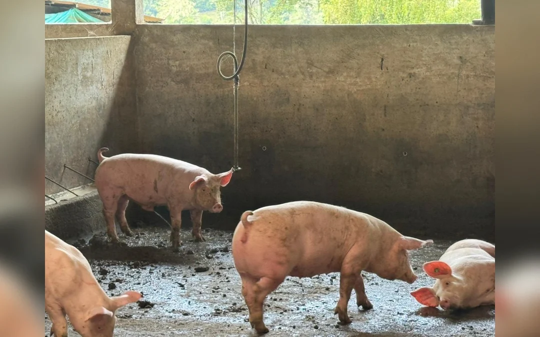 La CAR refuerza la vigilancia ambiental en la regi�n Rionegro