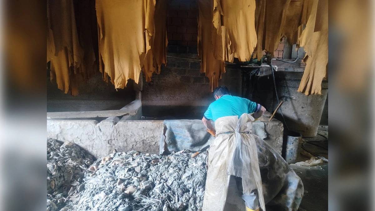 CAR: Desarticulado un sofisticado esquema de contaminaci�n industrial en el r�o Bogot� CAR: Desarticulado un sofisticado esquema de contaminaci�n industrial en el r�o Bogot�