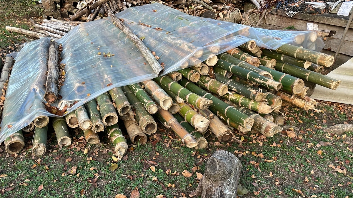 CAR: Golpe al Tr�fico Ilegal de Guadua en Cundinamarca CAR: Golpe al Tr�fico Ilegal de Guadua en Cundinamarca