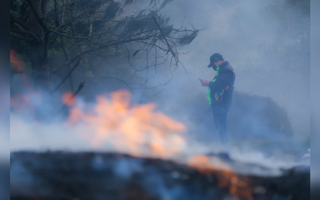 CAR y Fuerza P�blica logran 73 capturas en ofensiva contra la miner�a ilegal