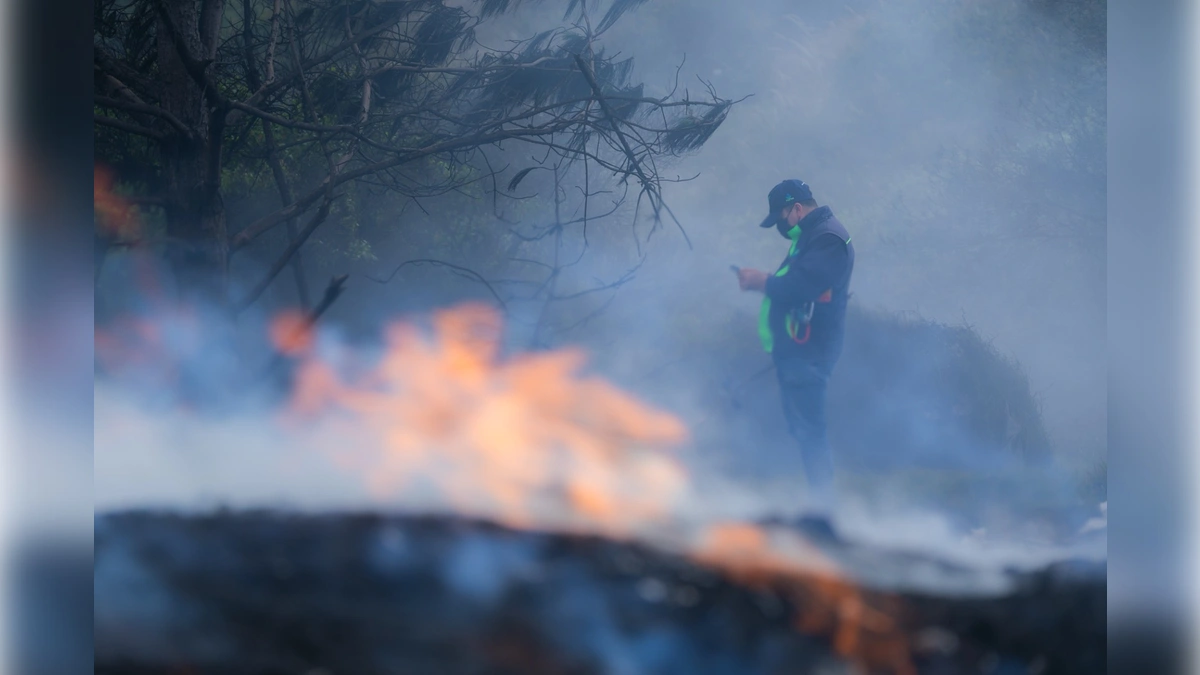 CAR y Fuerza P�blica logran 73 capturas en ofensiva contra la miner�a ilegal