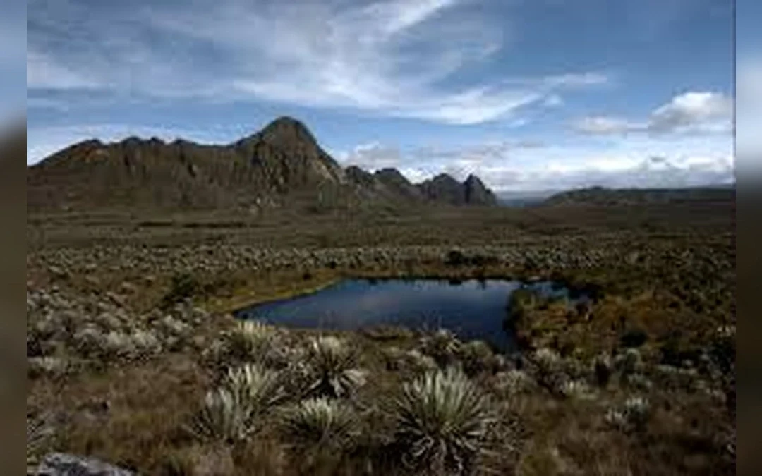 Elecciones al Congreso: La disputa estrat�gica por el liderazgo del Sumapaz