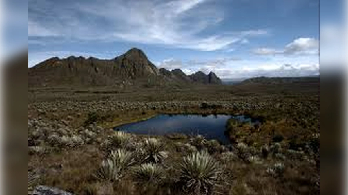 Elecciones al Congreso: La disputa estrat�gica por el liderazgo del Sumapaz