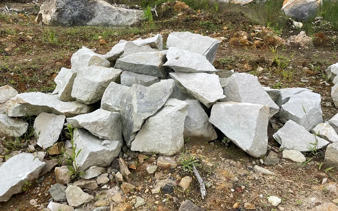 CAR detecto irregularidades en licencias de construcci�n: La fachada legal de la miner�a il�cita en Silvania