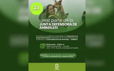 Fusagasug� constituye su Junta Defensora de Animales (JUNDEFA)